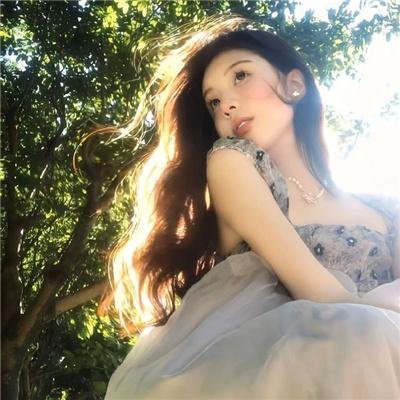 钢炽之芯