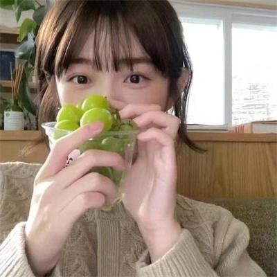 穷途鼠的奶酪梦